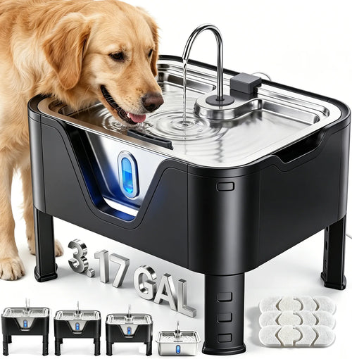 DeftPet 12L / 3.17 Gal Adjustable Elevated Dog Water Fountain for Large Dogs