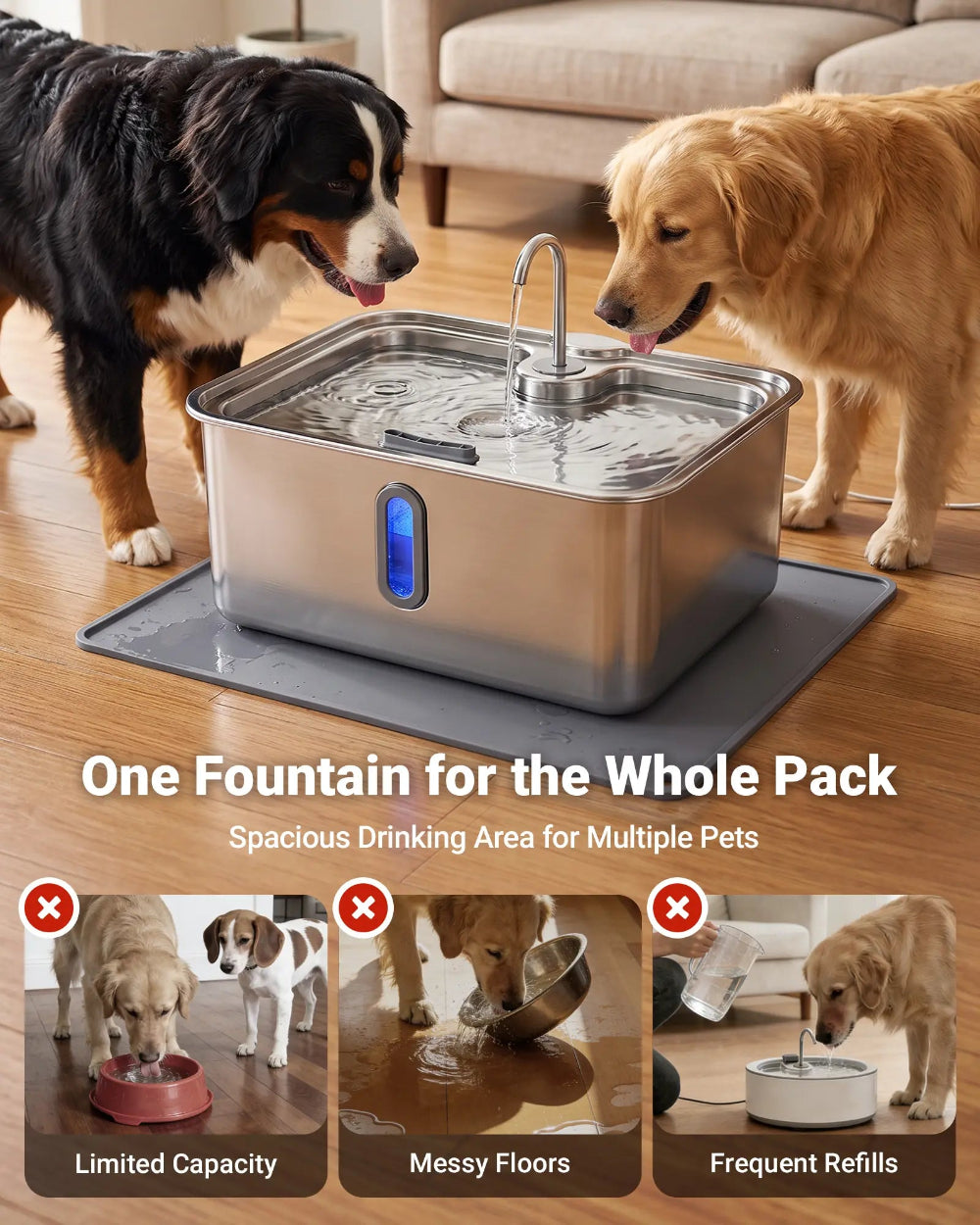 Spacious Drinking Area for Multiple Pets