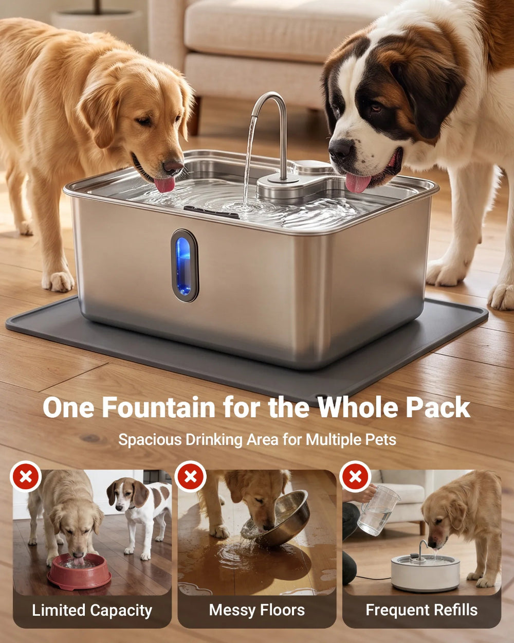 Spacious Drinking Area for Multiple Pets