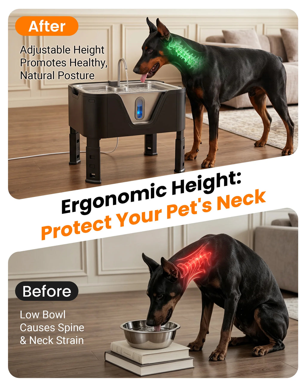 DeftPet 15L / 3.96 Gal Adjustable Elevated Dog Water Fountain for Large Dogs