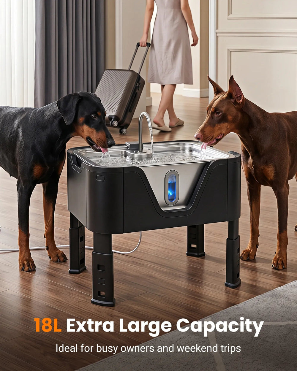 DeftPet 18L / 4.76 Gal Adjustable Elevated Dog Water Fountain for Large Dogs